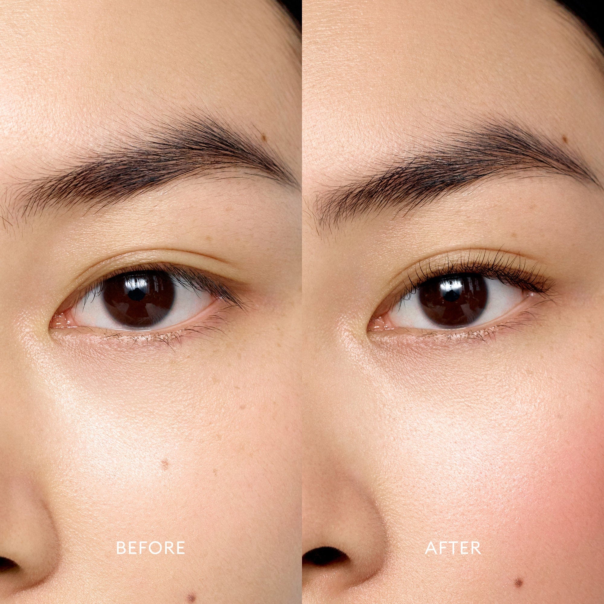 Eyelash Curler - Image 2